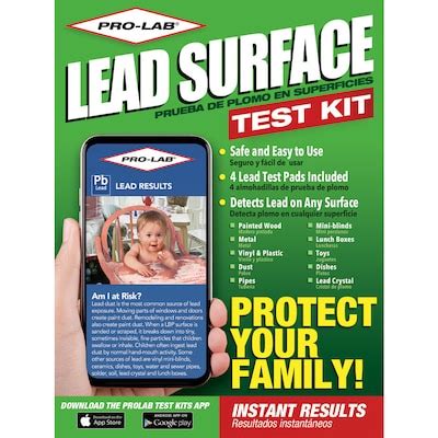 lead paint test kit lowe's